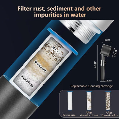 pommeau de douche HydraLuxe Pro multifonctions